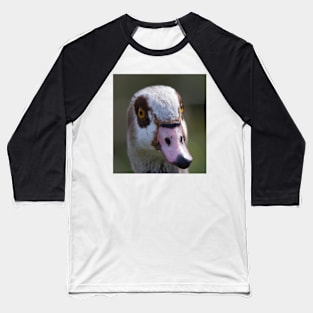 Egyptian Goose Baseball T-Shirt